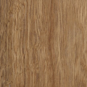Spotted Gum