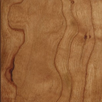 American Cherry